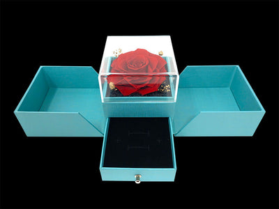 Forever rose ring I love you in 100 languages with preserved rose box